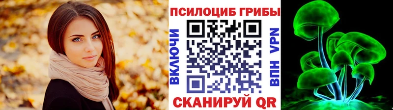 где можно купить наркотик  Ясногорск  Псилоцибиновые грибы мухоморы 